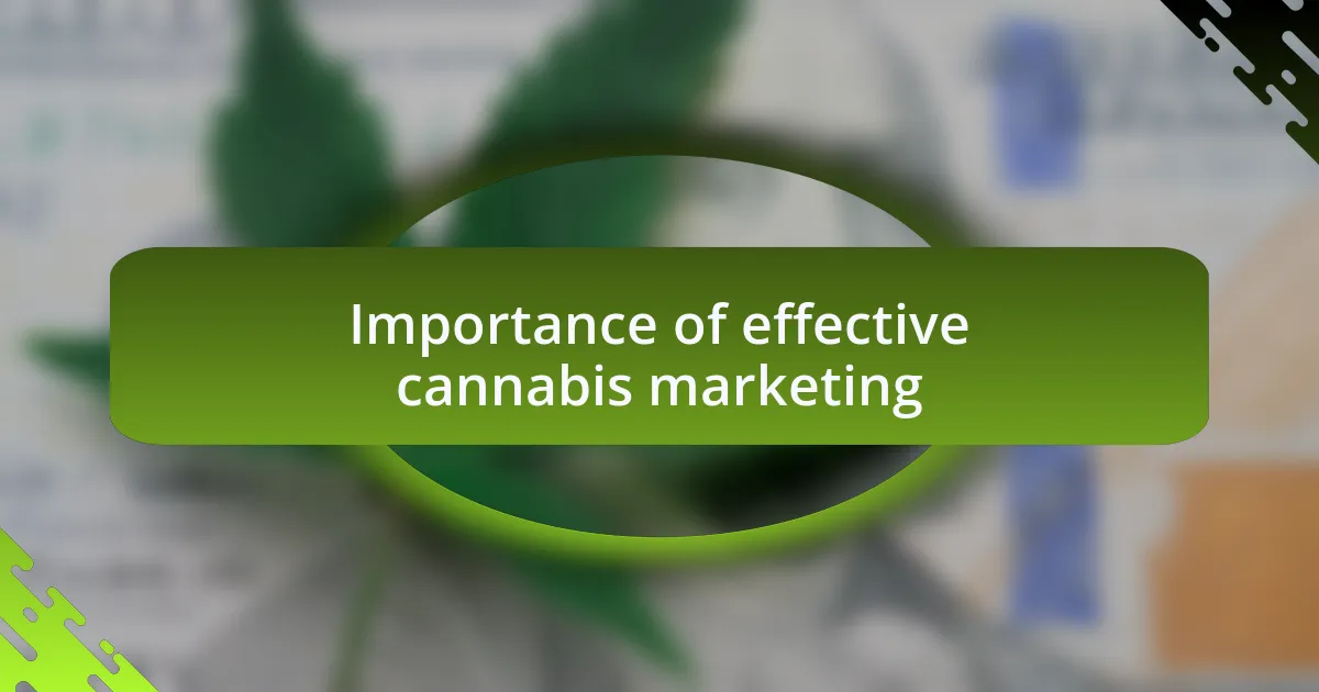 Importance of effective cannabis marketing