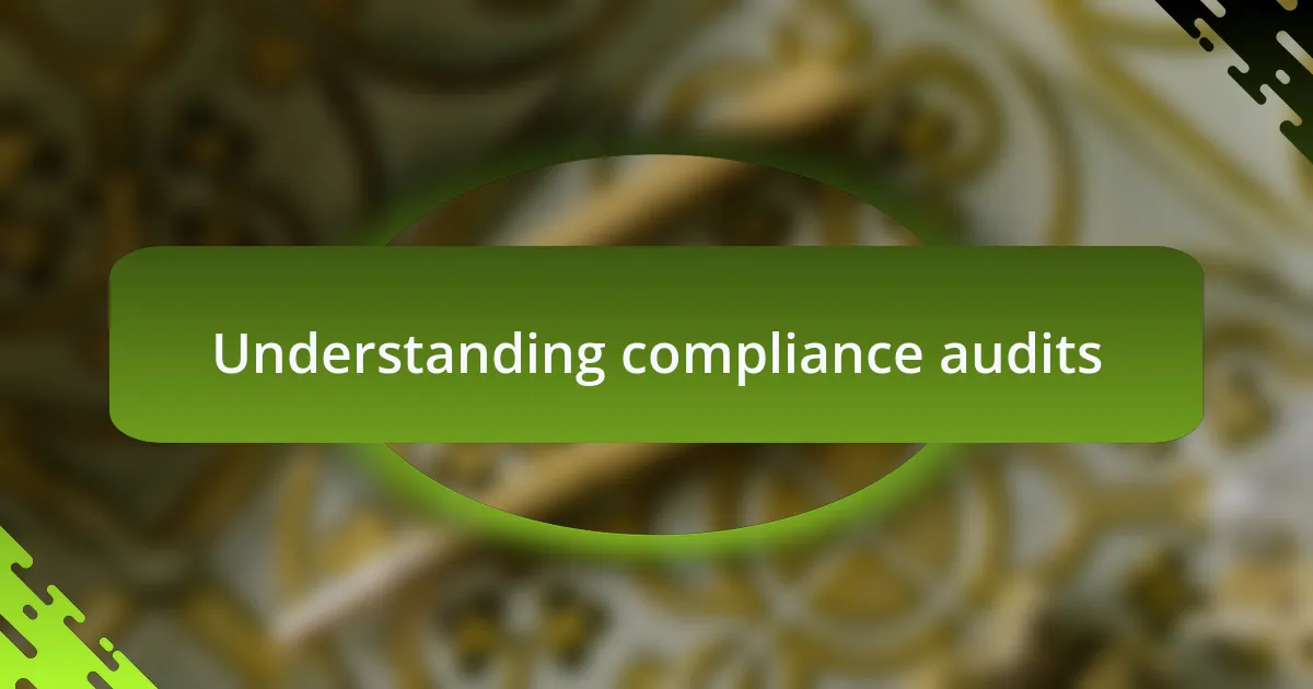Understanding compliance audits