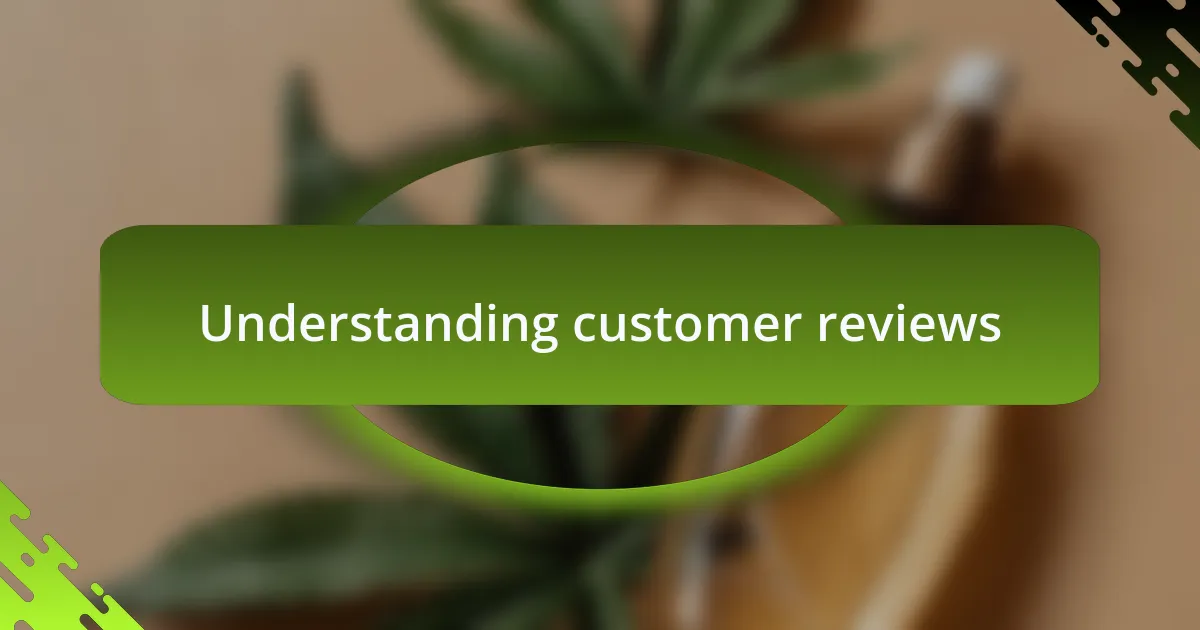 Understanding customer reviews