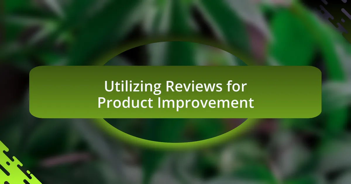 Utilizing Reviews for Product Improvement